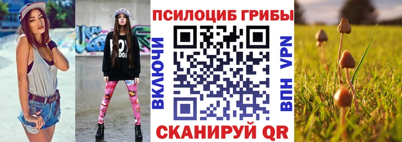 Псилоцибиновые грибы GOLDEN TEACHER  Купить закладки  Малая Вишера 